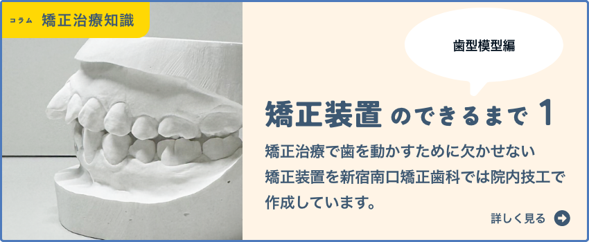 矯正治療の装置のできるまで